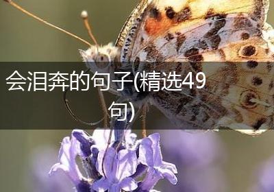 会泪奔的句子(精选49句)