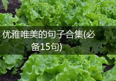 优雅唯美的句子合集(必备15句)