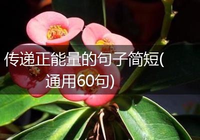 传递正能量的句子简短(通用60句)