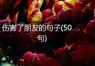 伤害了朋友的句子(50句)