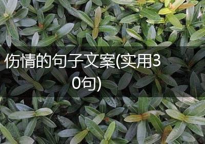 伤情的句子文案(实用30句)