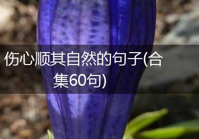 伤心顺其自然的句子(合集60句)