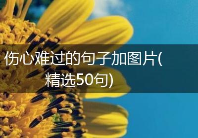 伤心难过的句子加图片(精选50句)