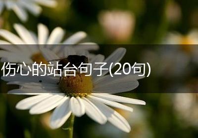 伤心的站台句子(20句)