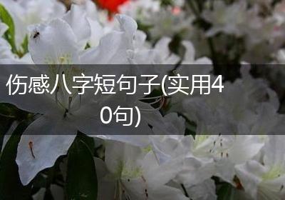 伤感八字短句子(实用40句)