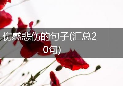 伤感悲伤的句子(汇总20句)