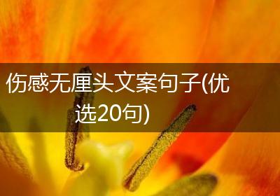 伤感无厘头文案句子(优选20句)