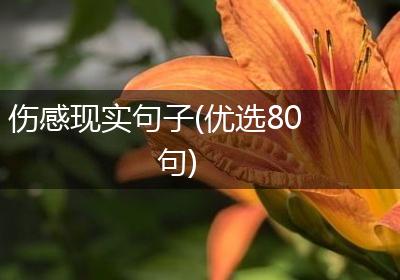 伤感现实句子(优选80句)