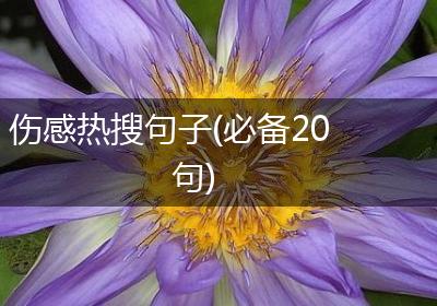 伤感热搜句子(必备20句)