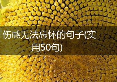 伤感无法忘怀的句子(实用50句)