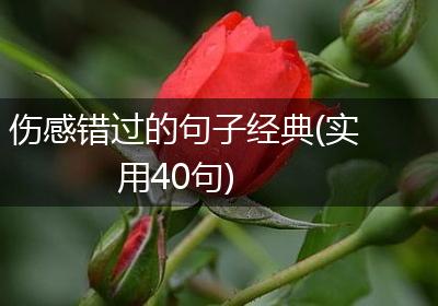 伤感错过的句子经典(实用40句)