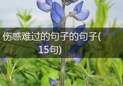 伤感难过的句子的句子(15句)