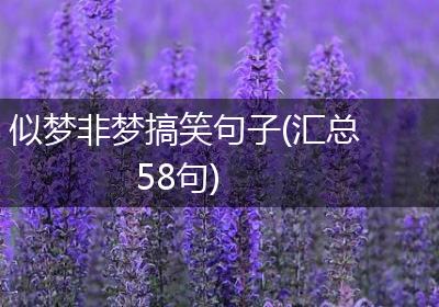似梦非梦搞笑句子(汇总58句)