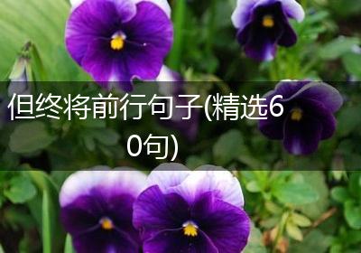 但终将前行句子(精选60句)
