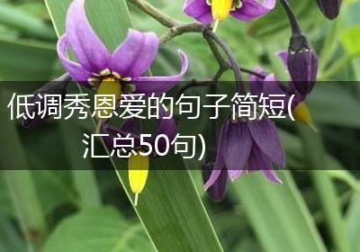 低调秀恩爱的句子简短(汇总50句)