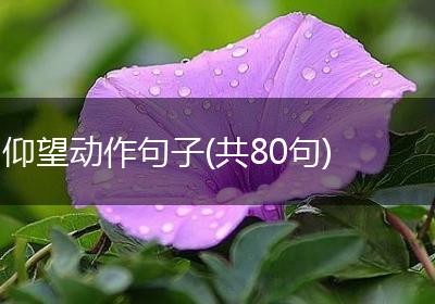仰望动作句子(共80句)