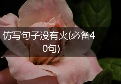 仿写句子没有火(必备40句)