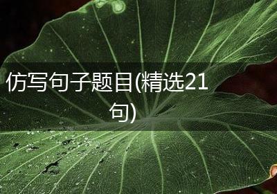 仿写句子题目(精选21句)
