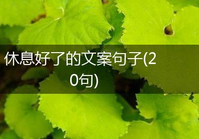 休息好了的文案句子(20句)