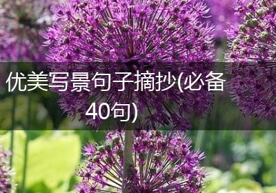优美写景句子摘抄(必备40句)