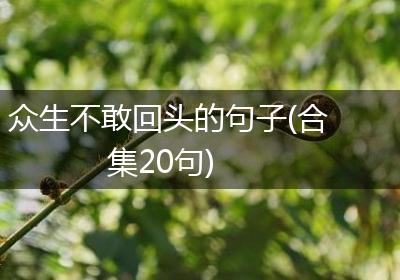 众生不敢回头的句子(合集20句)