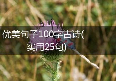 优美句子100字古诗(实用25句)