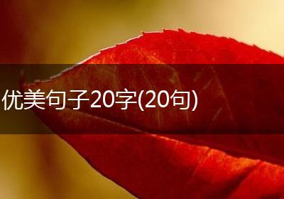 优美句子20字(20句)