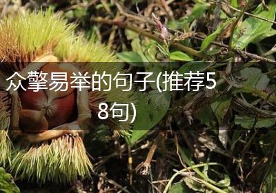 众擎易举的句子(推荐58句)