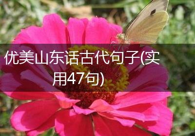 优美山东话古代句子(实用47句)