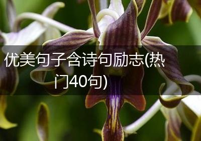 优美句子含诗句励志(热门40句)