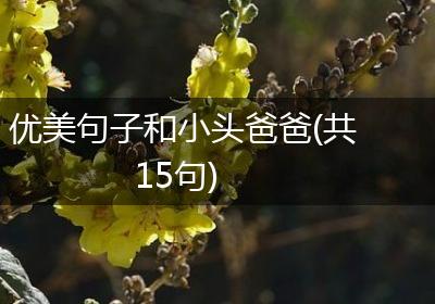 优美句子和小头爸爸(共15句)