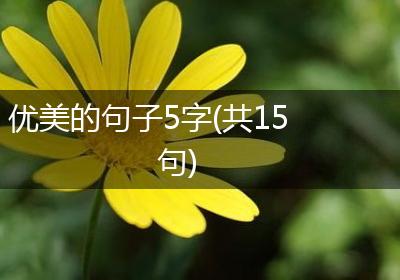 优美的句子5字(共15句)