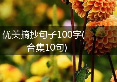 优美摘抄句子100字(合集10句)
