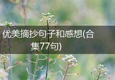 优美摘抄句子和感想(合集77句)