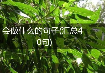 会做什么的句子(汇总40句)
