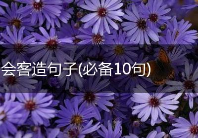 会客造句子(必备10句)