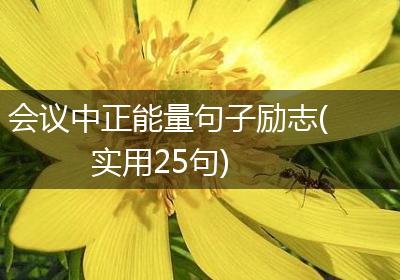 会议中正能量句子励志(实用25句)