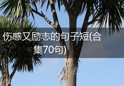 伤感又励志的句子短(合集70句)