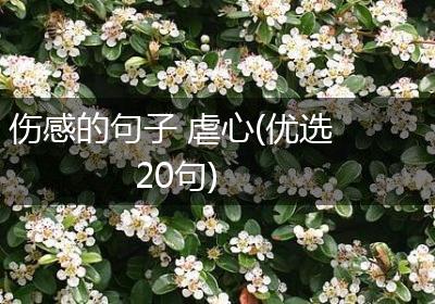 伤感的句子 虐心(优选20句)