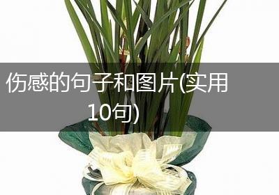 伤感的句子和图片(实用10句)
