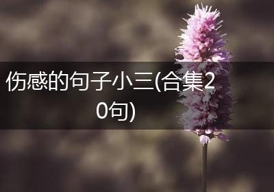 伤感的句子小三(合集20句)
