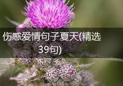 伤感爱情句子夏天(精选39句)