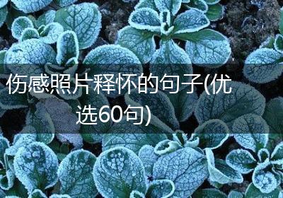伤感照片释怀的句子(优选60句)