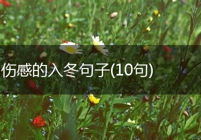 伤感的入冬句子(10句)
