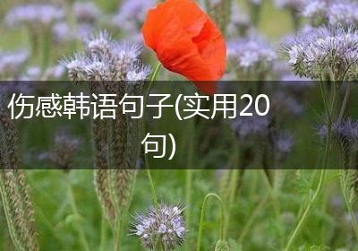 伤感韩语句子(实用20句)