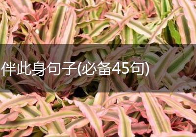伴此身句子(必备45句)
