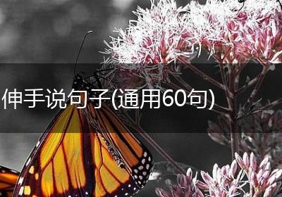 伸手说句子(通用60句)