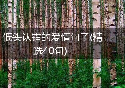 低头认错的爱情句子(精选40句)