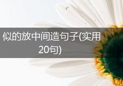 似的放中间造句子(实用20句)
