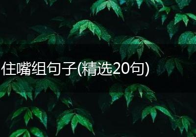 住嘴组句子(精选20句)